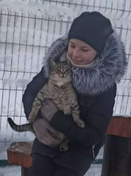 Ищет дом маленькая, весёлая кошечка Мышунька в Санкт-Петербурге фото 27