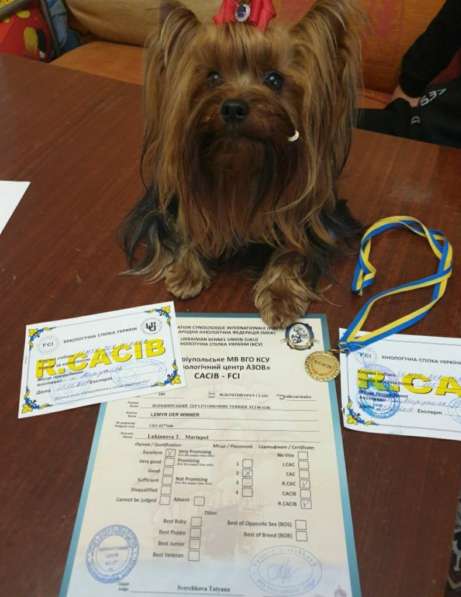 Чудо девочки 2,5 месяца в Москве