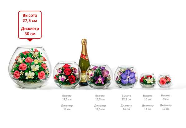 Композиции из стекла с живыми розами и орхидеями