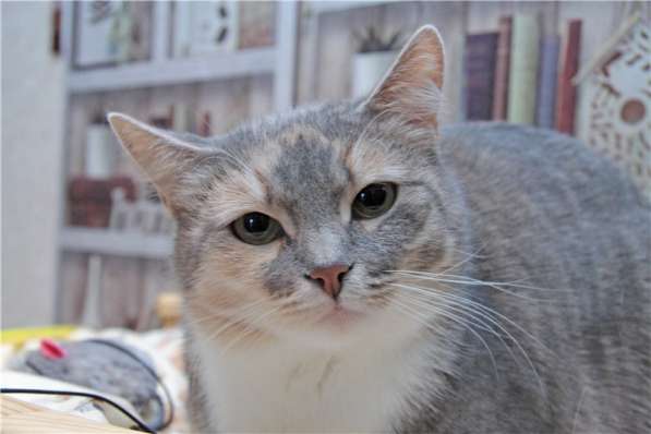 Нежная девочка Грета ищет дом в Москве