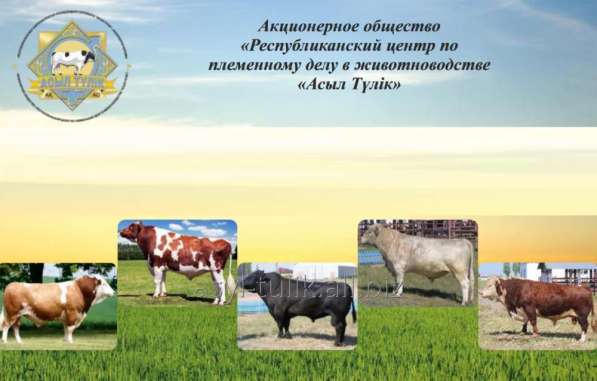 Нужен ИНВЕСТОР или проектное финансирование в фото 6