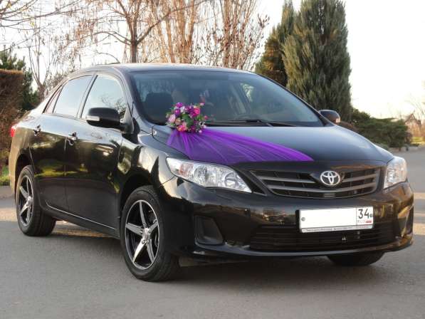 Данко - кортеж - авто на свадьбу, украшения для машин прокат в Волгограде