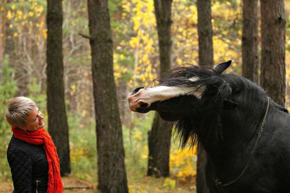 Фотосессия с лошадьми! в Красноярске фото 5