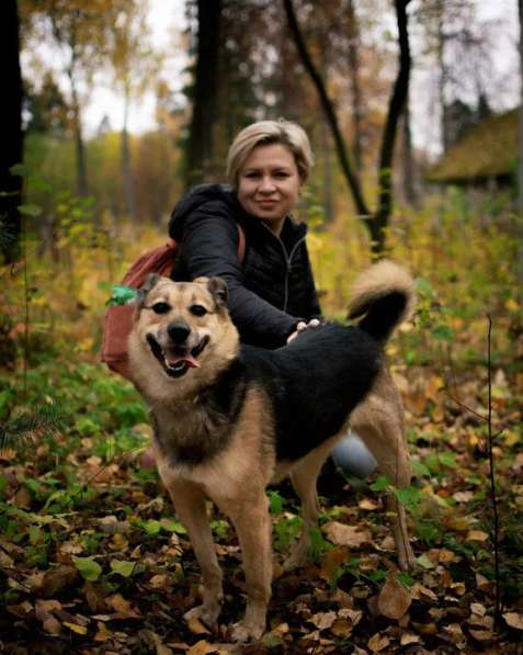 Хорошенькая, ласковая и любопытная собачка, 40 см в Санкт-Петербурге фото 14