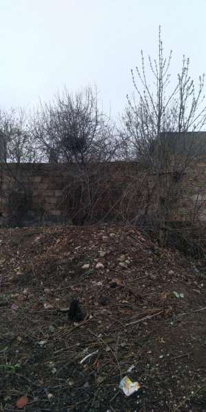 Расчистка участков под строительство в Севастополе в Севастополе фото 4