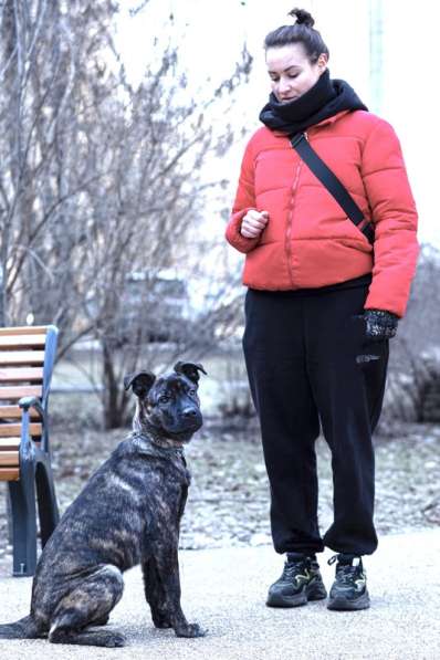 Джессика ищет дом в Москве фото 3