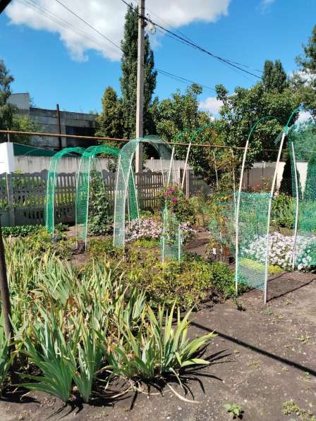 Продам пол дома по ул. Шоссейная в Елеце