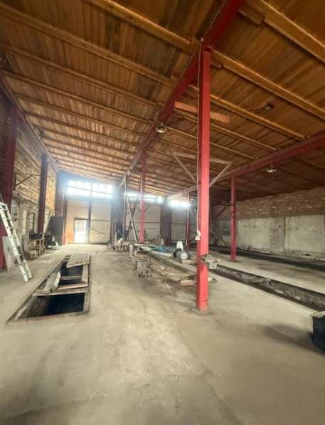 Ферма / Конюшня / Эко-хозяйство в Красноярске фото 6