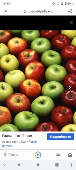 Яблоки сочные, сладкие, спелые 10р. 5кг