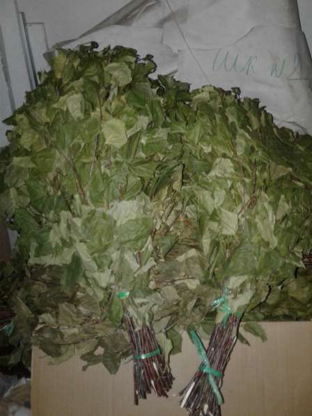 Продаю веники для бани в Чебоксарах