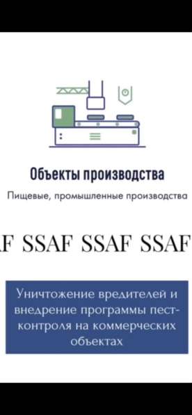 Разработка программ и проведение пест-контроля от 3р/м2 в Санкт-Петербурге фото 3