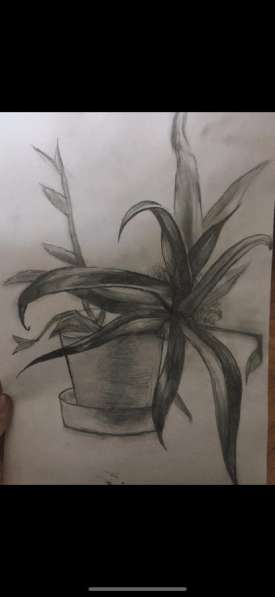 Картины на заказ в Москве