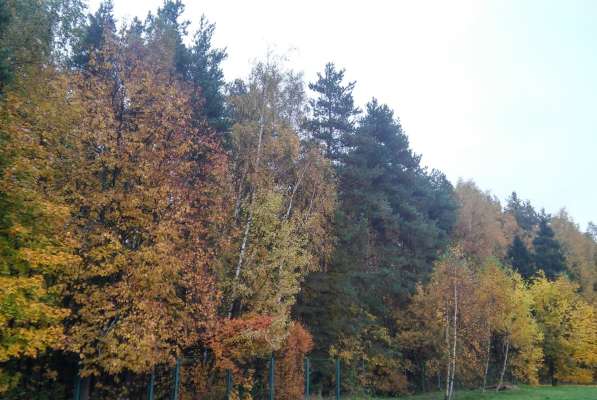 Дом престарелых Орловка в Москве фото 6