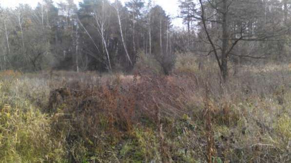 Участок в Ногинске фото 3