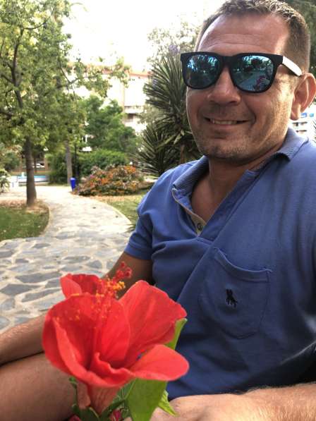 Maine Coon в фото 8