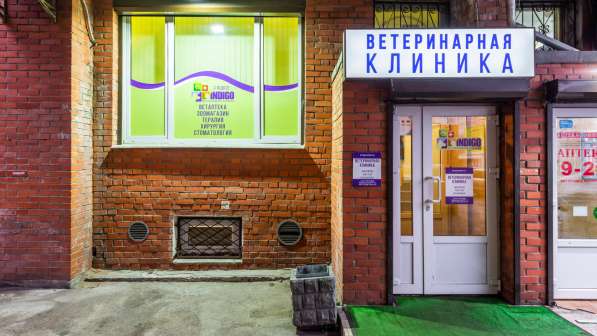 Передержка животных в Санкт-Петербурге