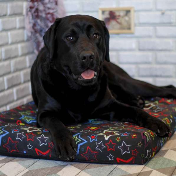 Лежак для собак крупных пород (Чёрный с яркими звёздами)