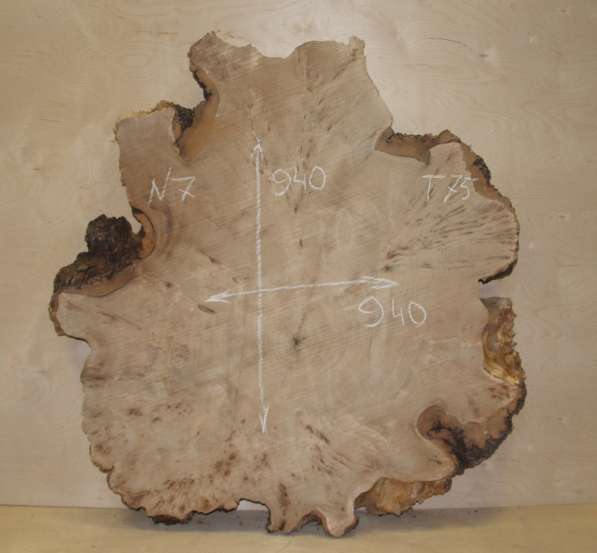 Продам слэбы поперечного капового тополя, Вл 8-10% в Москве фото 8