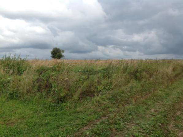 Продается земельный участок 12 соток в д. Шваново, Можайский р-н, 140 км от МКАД по Минскому или Можайскому шоссе. в Можайске фото 3