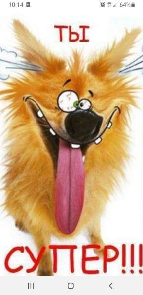 Kalle, 47 лет, хочет пообщаться