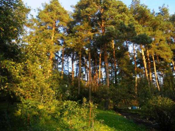 Уникальный загородный дом на берегу озера Генерал в Раменское фото 10