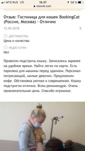 Гостиница для кошек в Москве