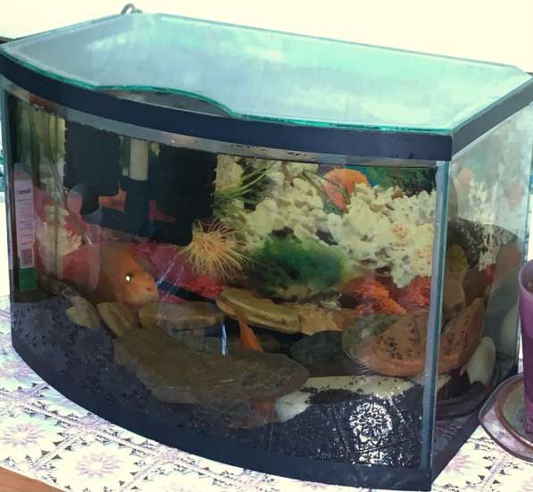 Продам аквариум 30 литров