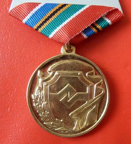 Россия медаль За верность долгу и Отечеству документ ВДВ в Орле фото 4