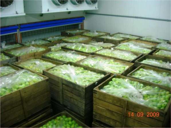 Холодильники для овощехранилищ в Крыму. Установка, гарантия в Симферополе фото 6