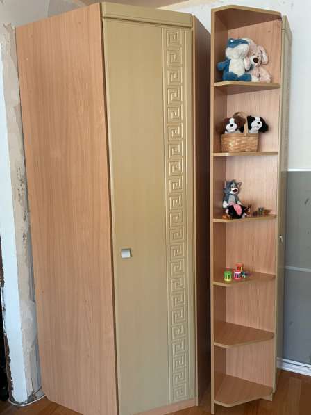 Шкаф угловой в Пскове фото 6