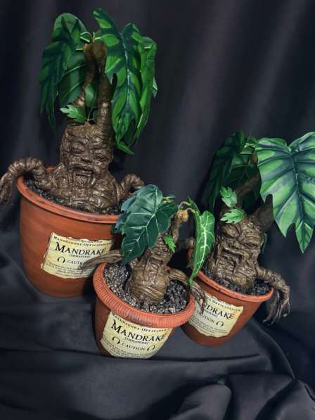 Мандрагора из Гарри Поттера