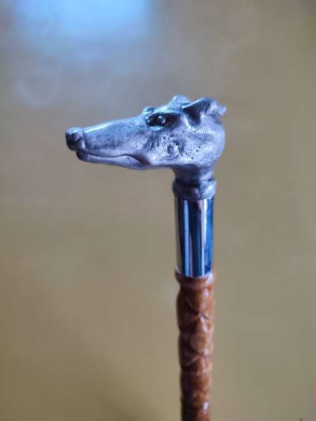 Трость для ходьбы в 