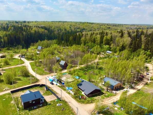 Лесные участки в Дмитрове фото 4