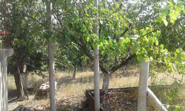 Срочно Продам дом (дача) в фото 8