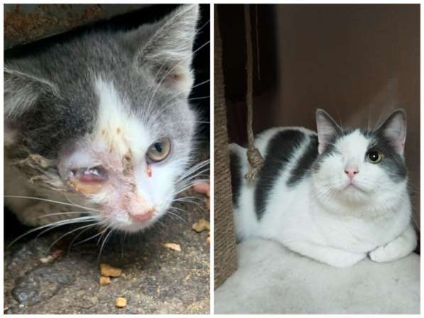 ПОЖАЛУЙСТА, НЕ ПРОХОДИТЕ МИМО!!!