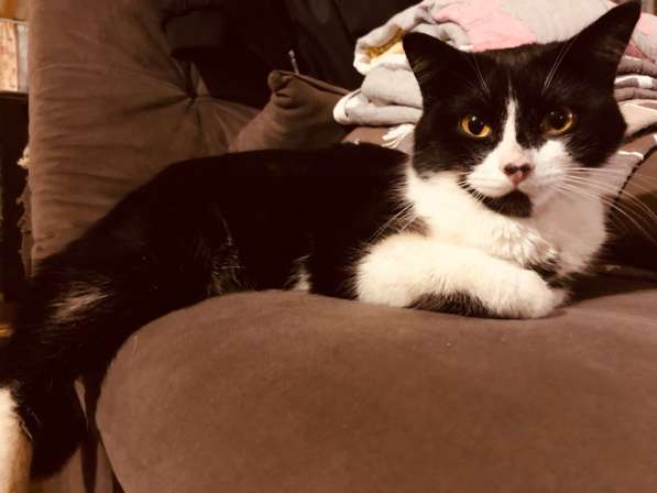 В добрые руки ❤️