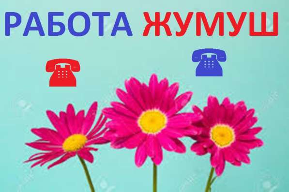 Требуется продавец-консультант мужской одежды, ТЦ Караван