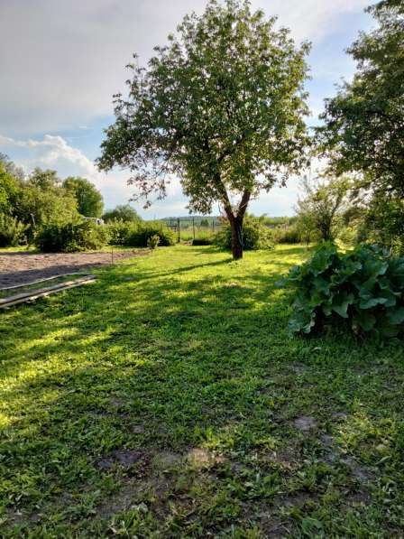 Сдам дом в деревне в Шуе фото 4