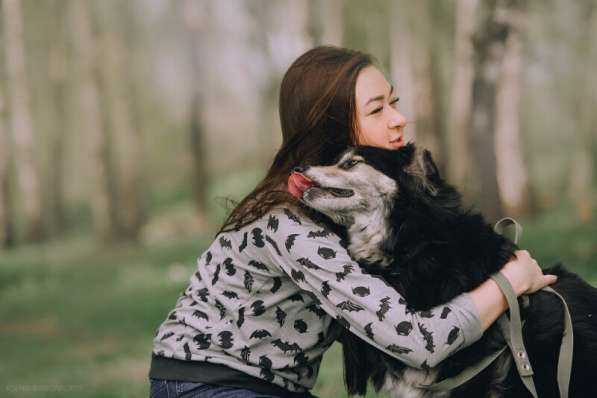 Пушистая весёлая Дакота ищет семью в Москве фото 46