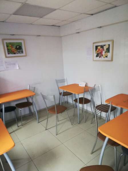 Продам действующее кафе в Магадане фото 5