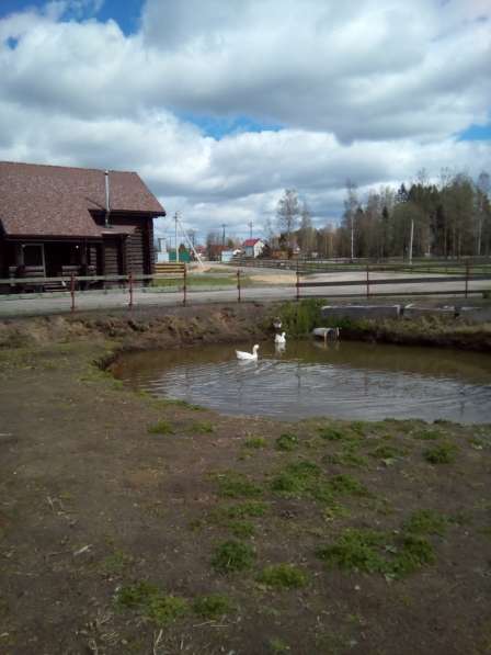 СНТ Никитилово в Санкт-Петербурге фото 3