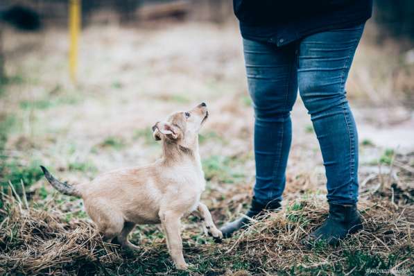 Великолепная Четверка в дар в Москве фото 25