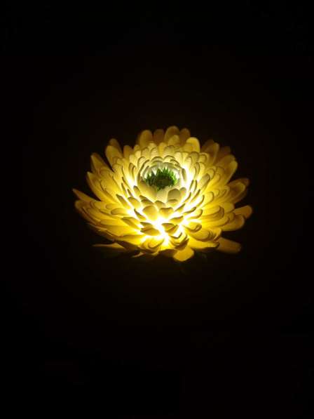 Цветы светильники, ночьники в Новосибирске фото 7