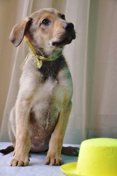 Великолепная Четверка в дар в Москве фото 39