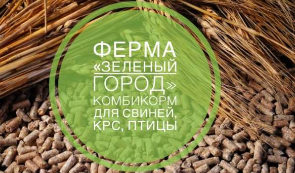 Ферма « Зелёный город» в Миассе фото 4