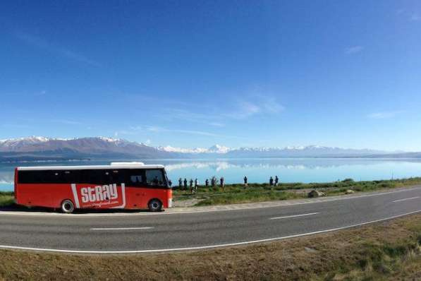 Berneri texapoxum Sochi Erevan qaxaqic в 