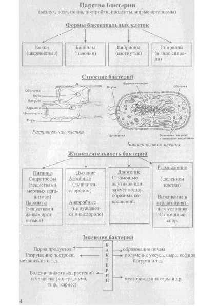 Биология в таблицах и схемах. Для школьников и абитуриентов в Москве фото 9