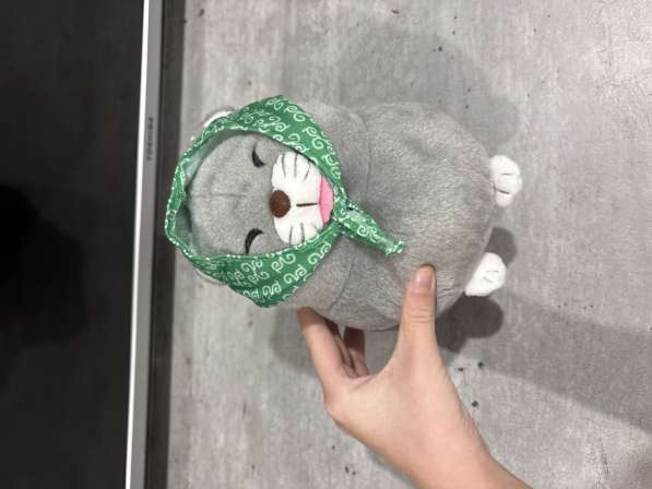 Кошка в косынке