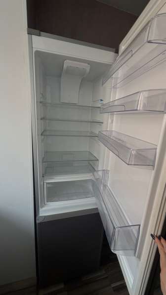 Отдам бесплатно