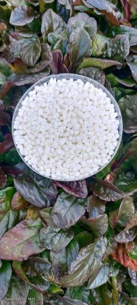 Гранула полипропилена